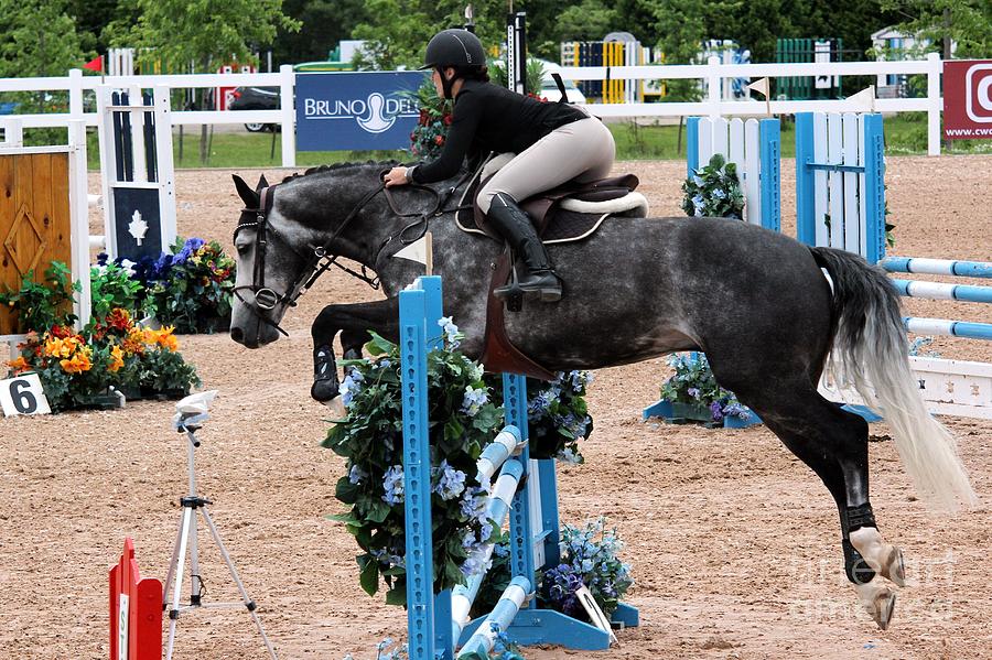 Jumper107 Photograph by Janice Byer