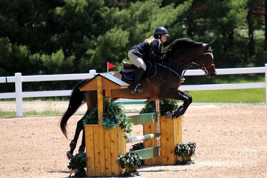 Jumper116 Photograph by Janice Byer