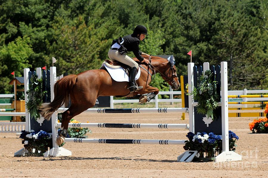Jumper119 Photograph by Janice Byer