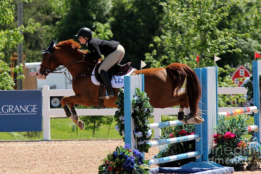 Jumper128 Photograph by Janice Byer