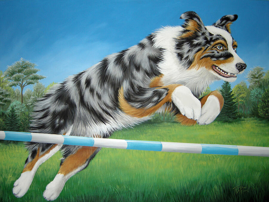 Jumping Aussie Painting by Tish Wynne