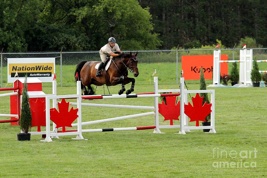 Jumping Canadian Fence Photograph by Janice Byer