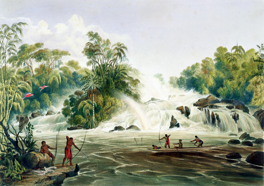 Jungle Drawing - Junction Of The Kundanama by Charles Bentley