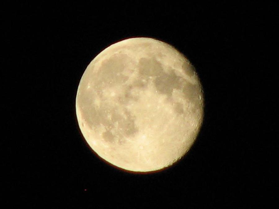 June Full Moon Photograph by Sharon Duguay
