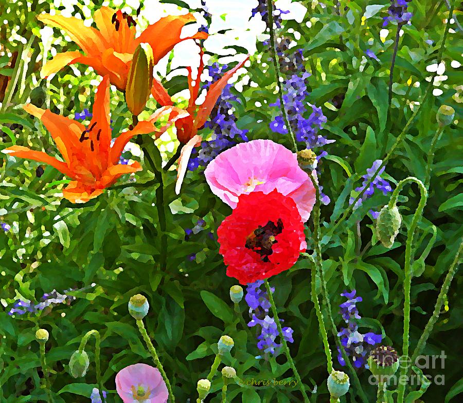 June Garden  Photograph by Chris Berry