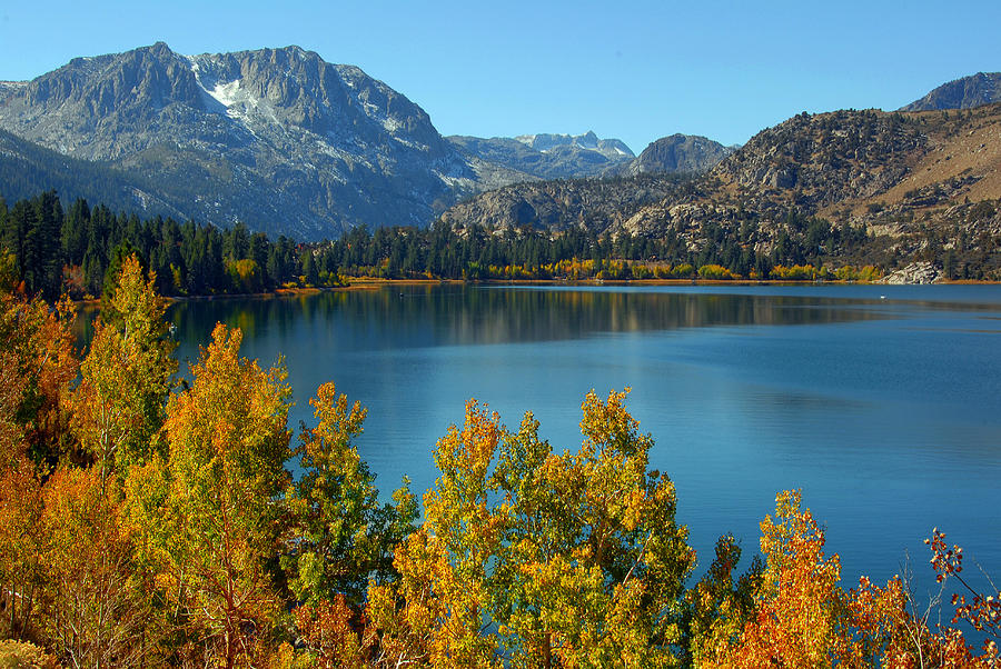 June Lake Blues and Golds Photograph by Lynn Bauer - Fine Art America