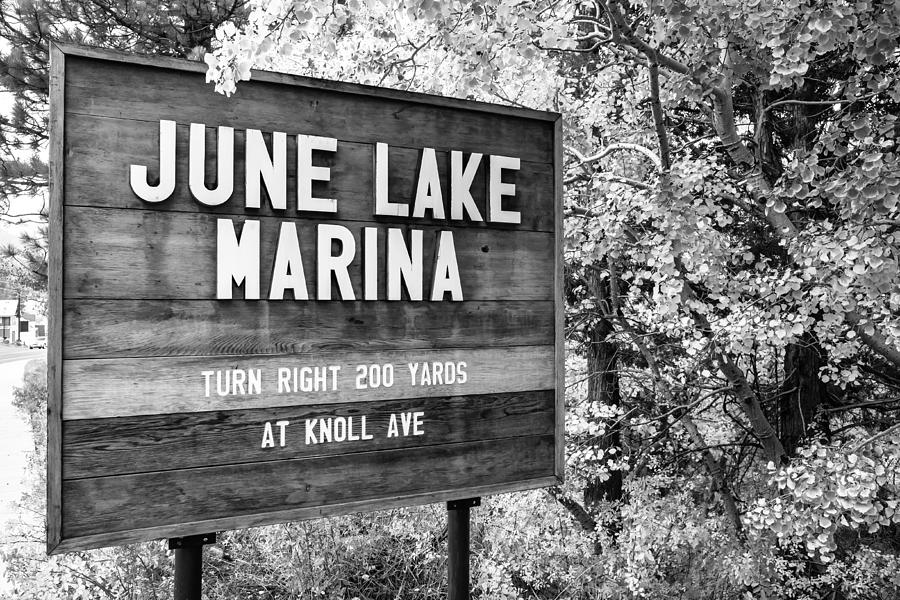 June Lake Marina Sign Photograph by Priya Ghose