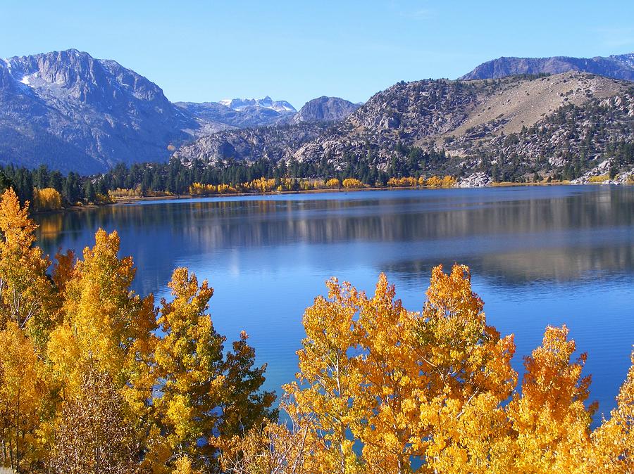 June Lake With Bright Fall Color Photograph by Cherie COKELEY