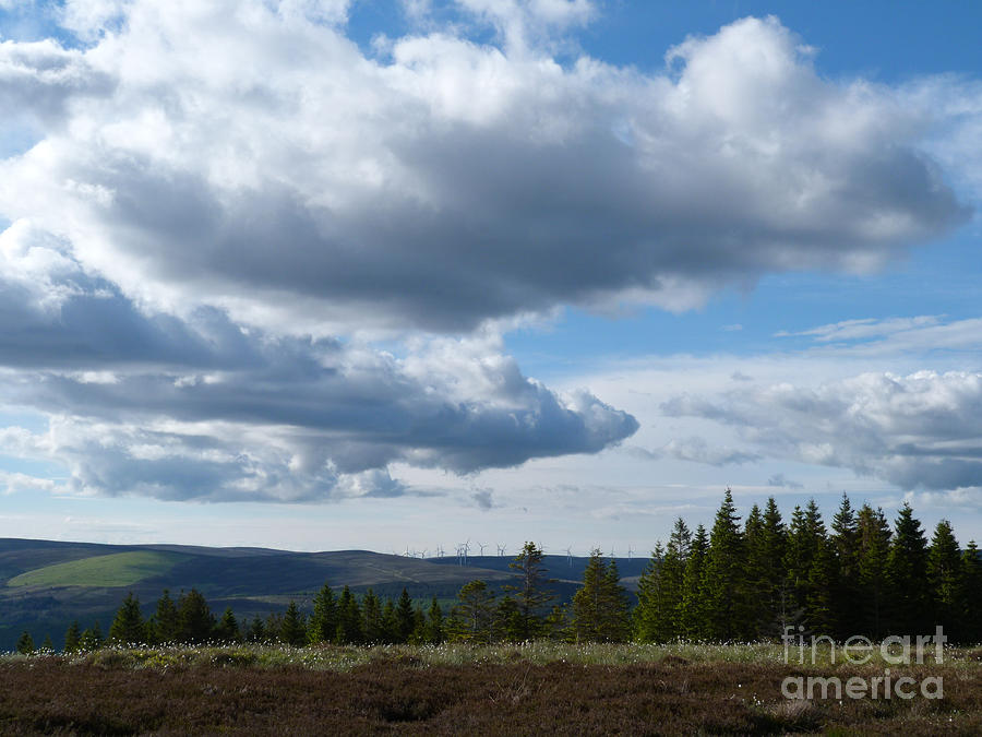 June Sky - Strathspey Photograph by Phil Banks