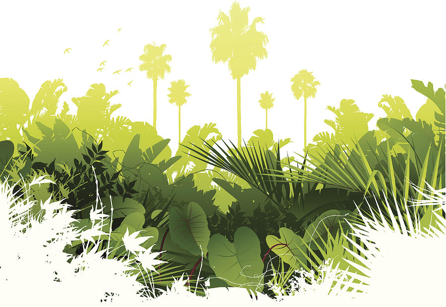Jungle background Drawing by Enjoynz