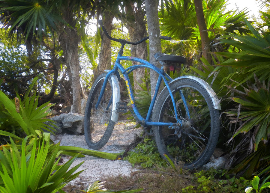 Jungle Bike Photograph by Jessica Levant