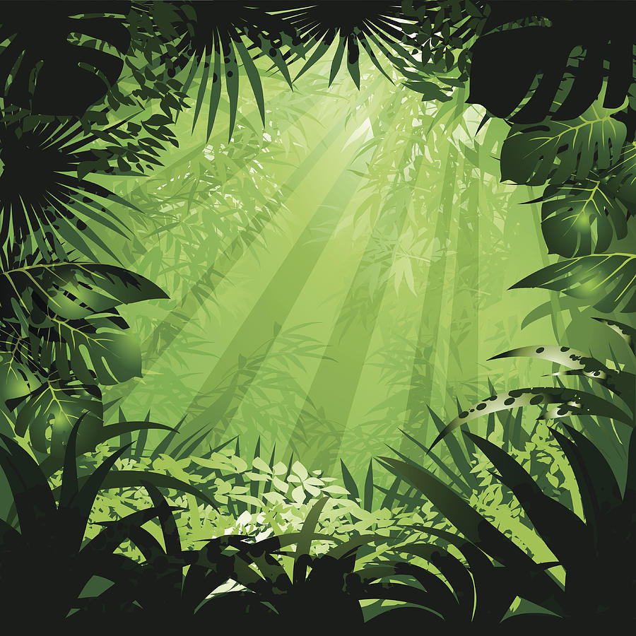 Jungle Drawing by Ctoelg