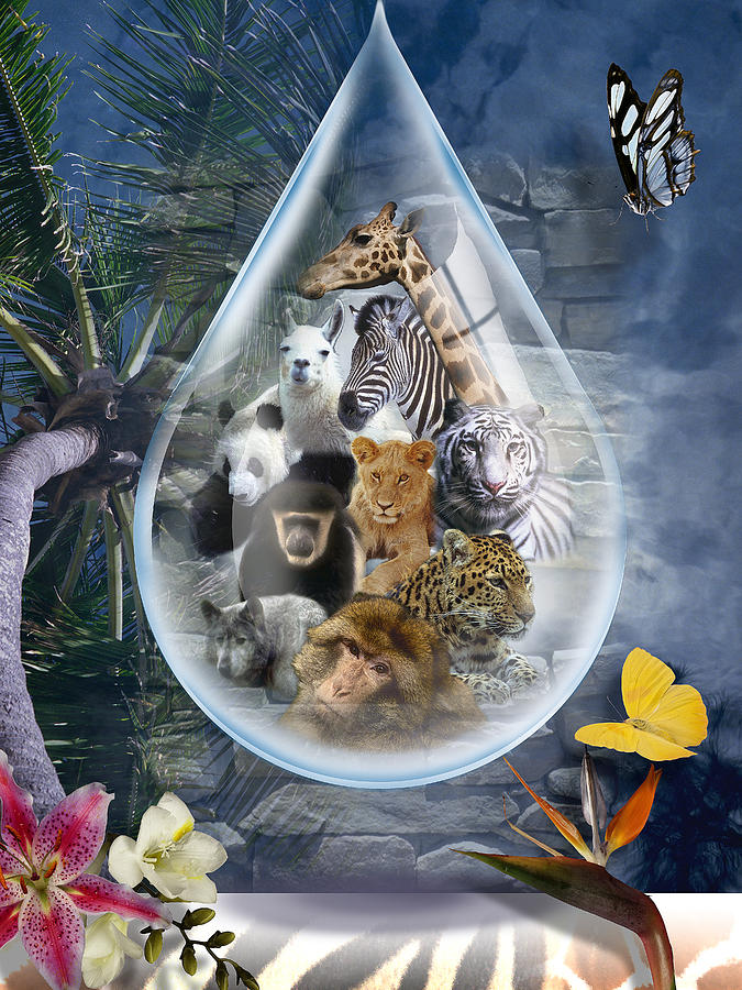 Jungle Drop Digital Art by Linda Carruth