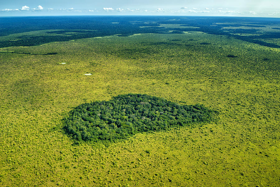 Jungle In The Midst Of Grassland, Congo Photograph by James Steinberg
