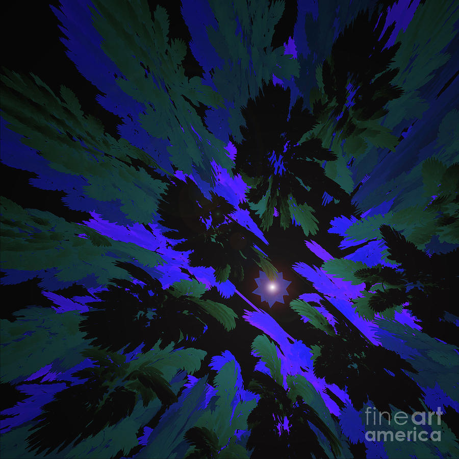 Jungle Night Sky by jammer Digital Art by First Star Art