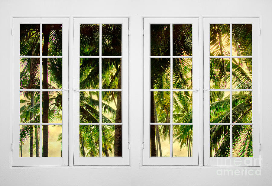 Jungle Paradise Plantation Double 16 Pane Window View Photograph by James BO Insogna