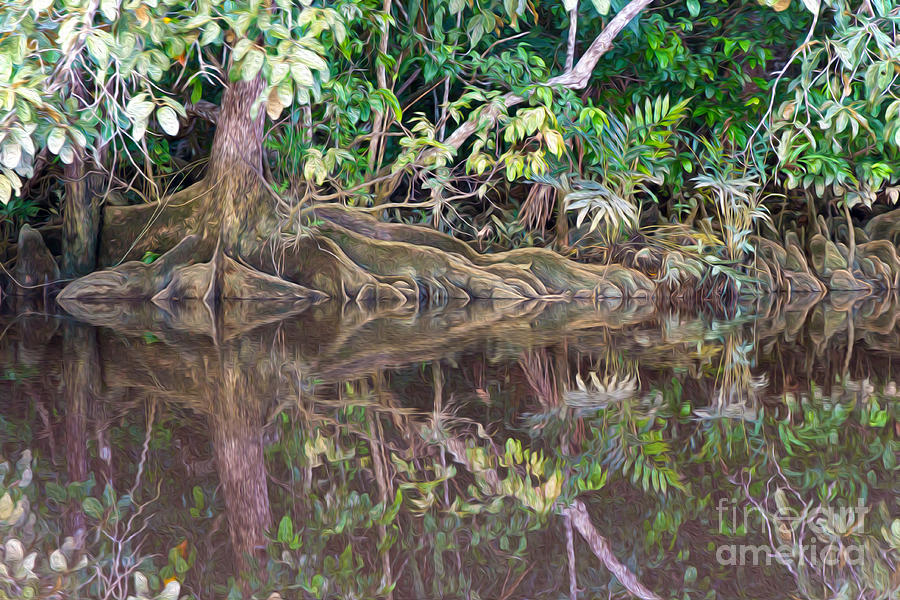 Jungle Reflections 1 Photograph by Carole Lloyd