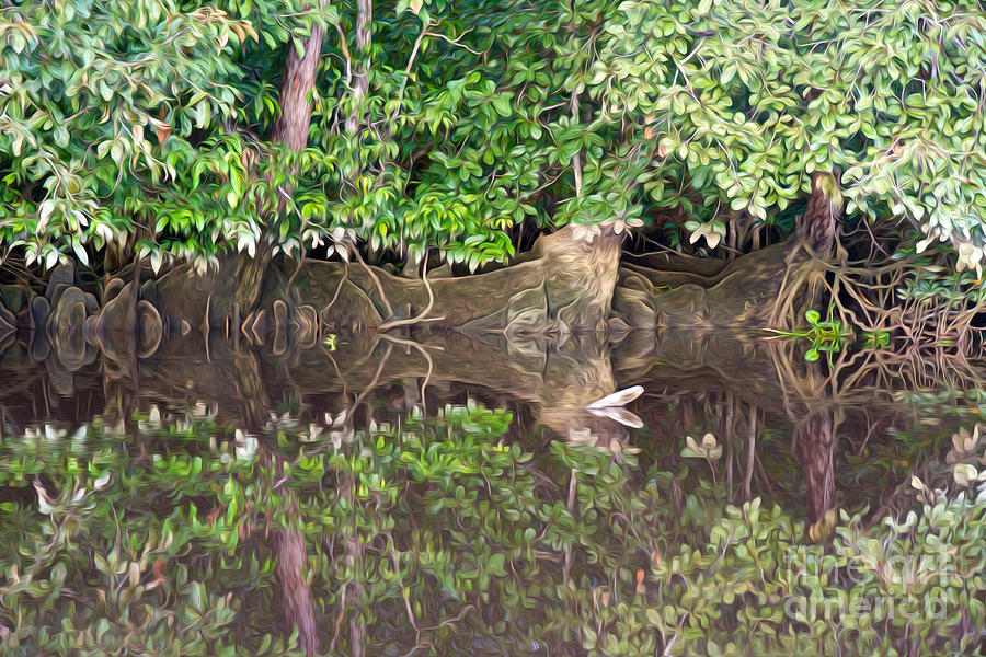 Jungle Reflections 2 Photograph by Carole Lloyd
