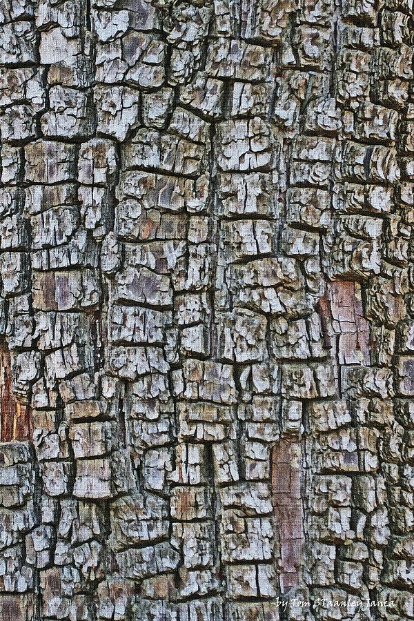 Juniper Bark- Texture Collection Photograph by Tom Janca