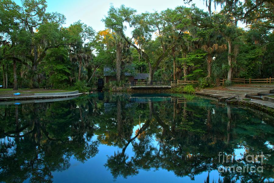 Juniper Springs Pool Reflections Photograph by Adam Jewell