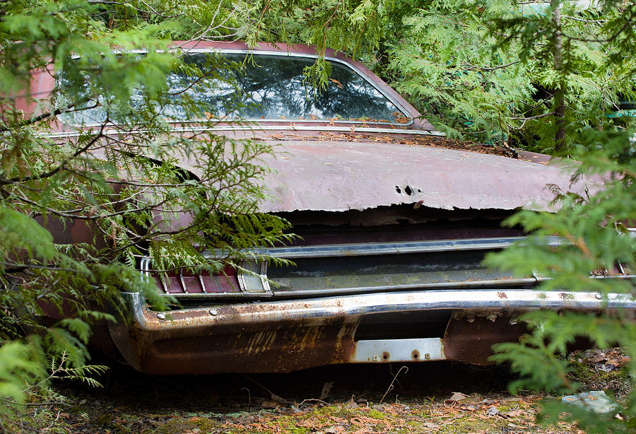 Junk Car Photograph by Nick Mares