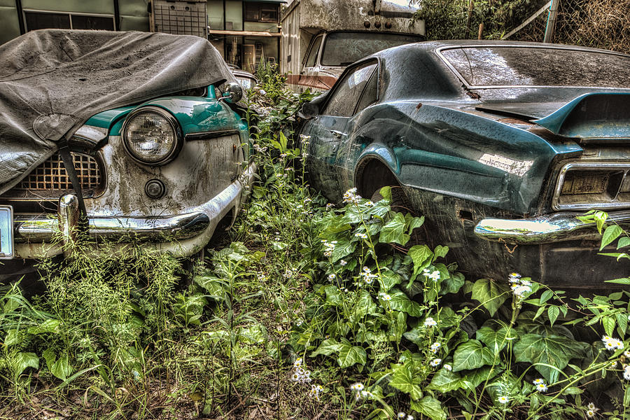 Junk OLD Cars Photograph by John Swartz