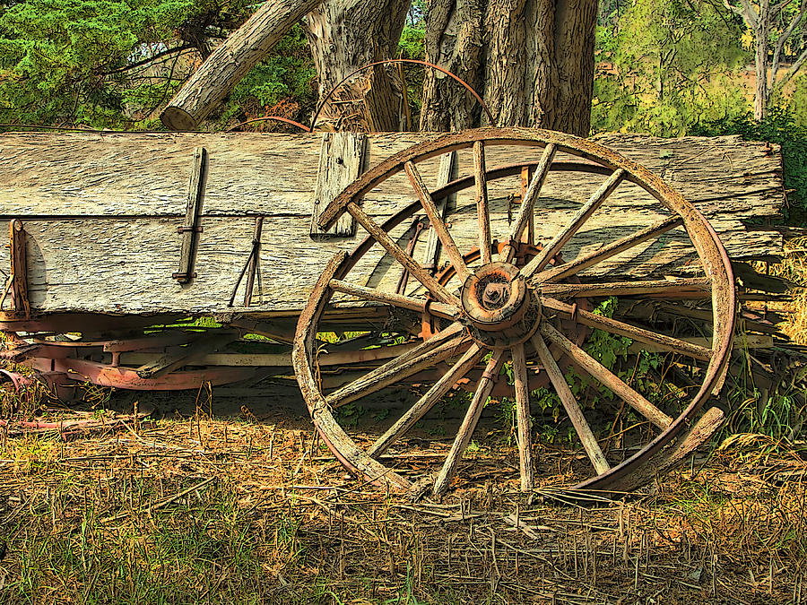 Wood Wagon Photograph - Junk Wagon by Dan Sabin