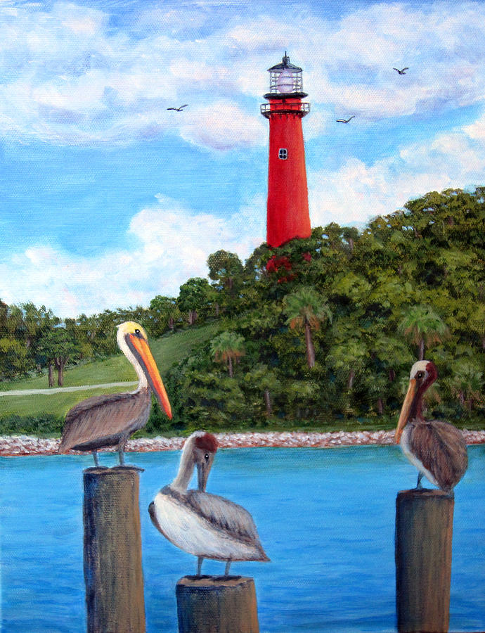 Jupiter Inlet Pelicans by Fran Brooks Jupiter Inlet Pelicans by Fran Brooks