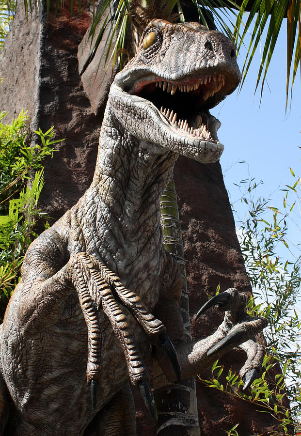 Jurassic Park Photograph by David Nicholls