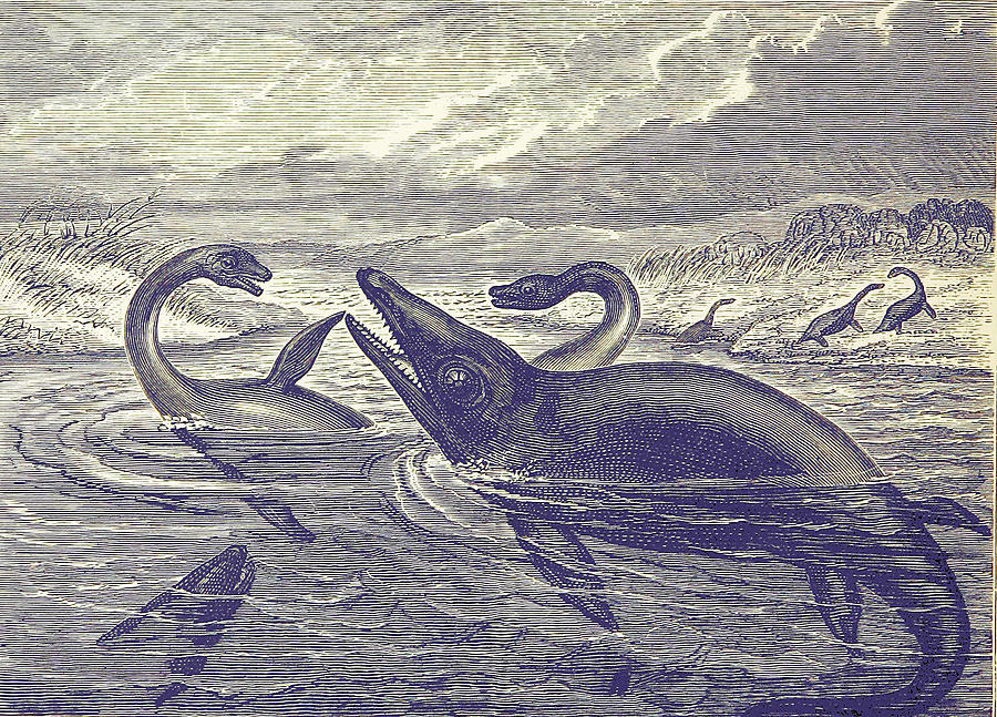 Jurassic Plesiosaurus And Ichthyosaurus Photograph by British Library