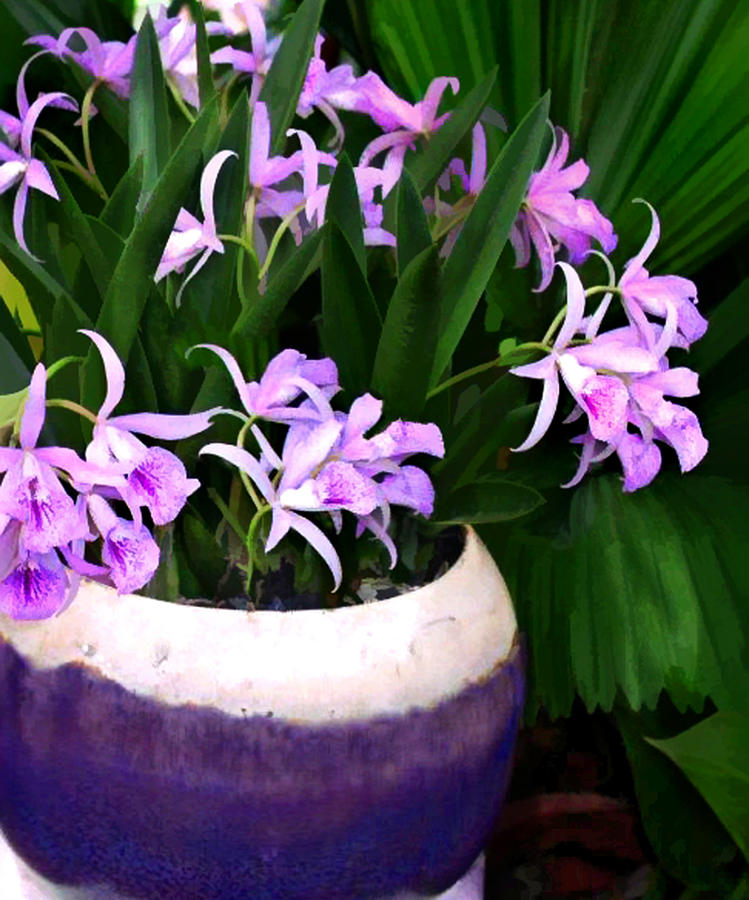Orchid Painting - Just a Bowl of Cattleyas by Elaine Plesser