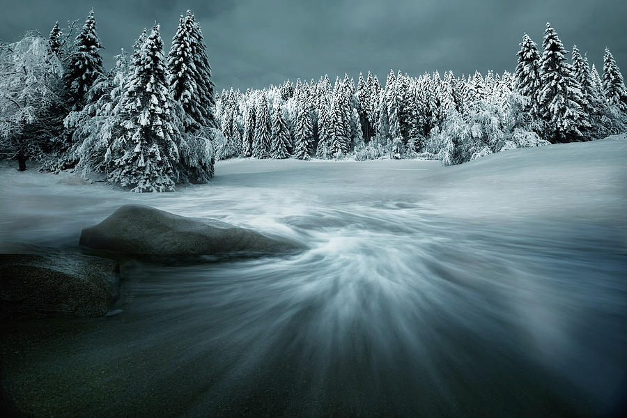 Winter Photograph - Just A Dream by Arnaud Maupetit