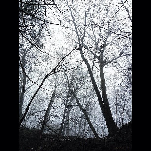 Hike Photograph - Just A Little #fog During A Recent #hike by Craig Szymanski