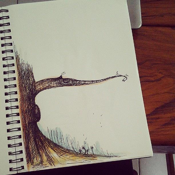 Just A Random Tree Doodle. Had Paint Photograph by Coral-Leigh Stuart-deLange
