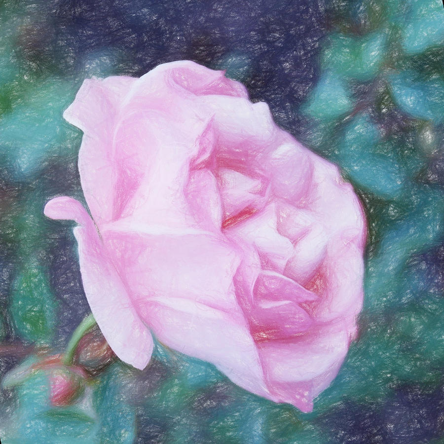 Spring Photograph - Just a Rose in the Garden by HW Kateley