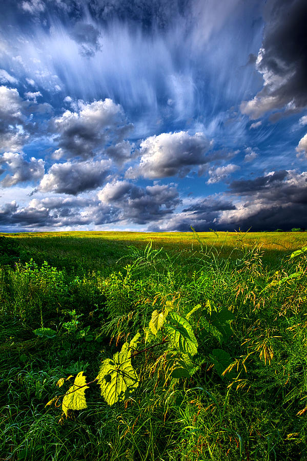 Just Another Day Photograph by Phil Koch