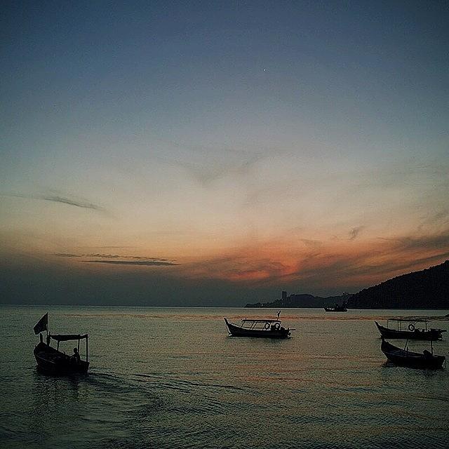 Fish Photograph - Just Before Daybreak. Teluk Bahang by David  Hagerman