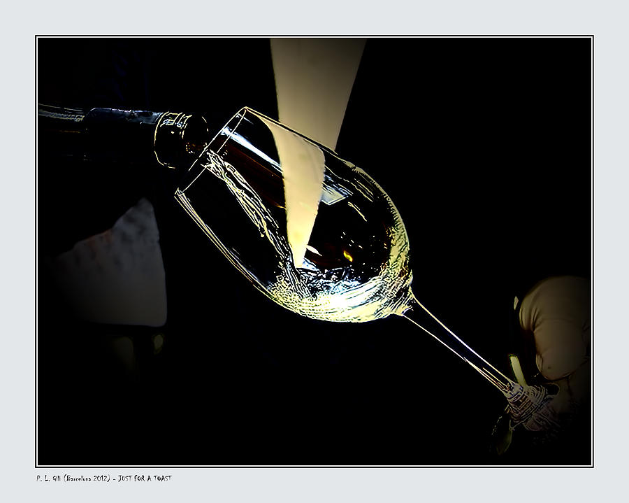Just For A Toast Photograph by Pedro L Gili