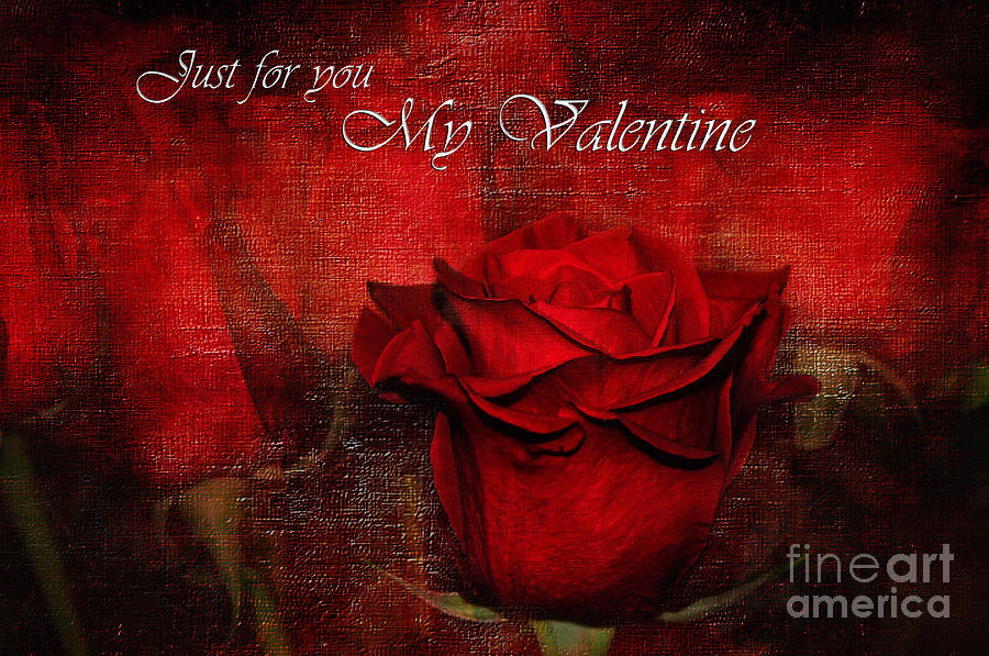 Just For You My Valentine Photograph by Kaye Menner