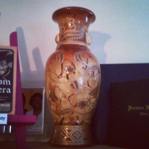 Just Got This Really Awesome Vase! Je Photograph by Dania Swails