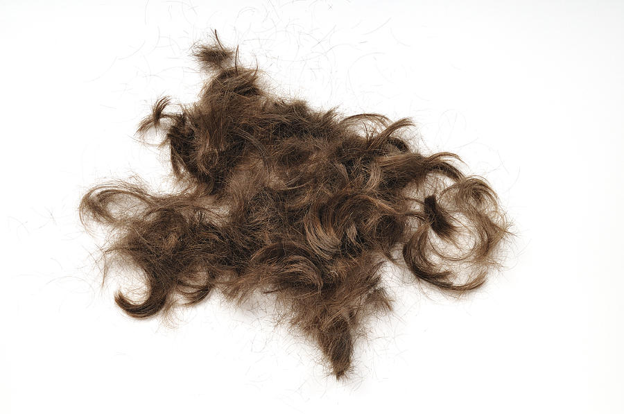 Just hair Photograph by Matthias Hauser