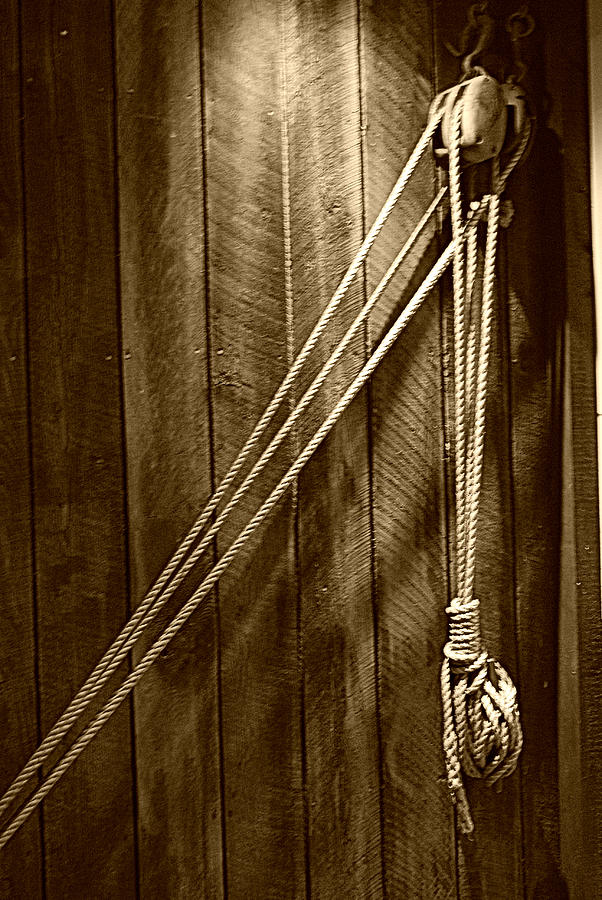 Just Hangin Around - sepia Photograph by Marilyn Wilson