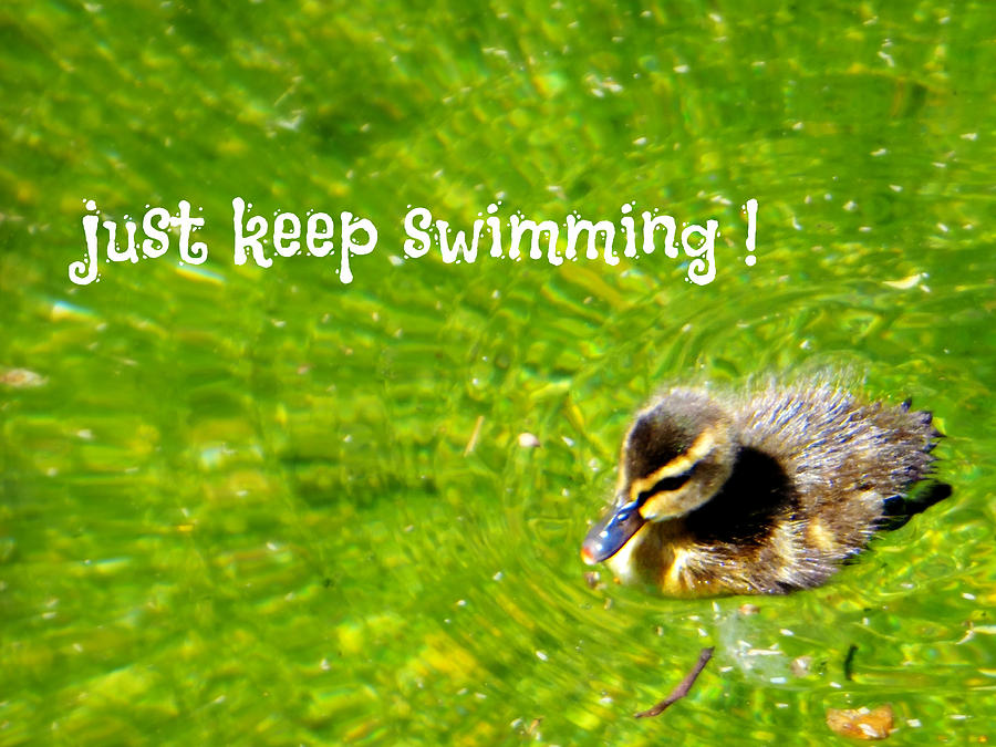 Just Keep Swimming Card Photograph by Dark Whimsy