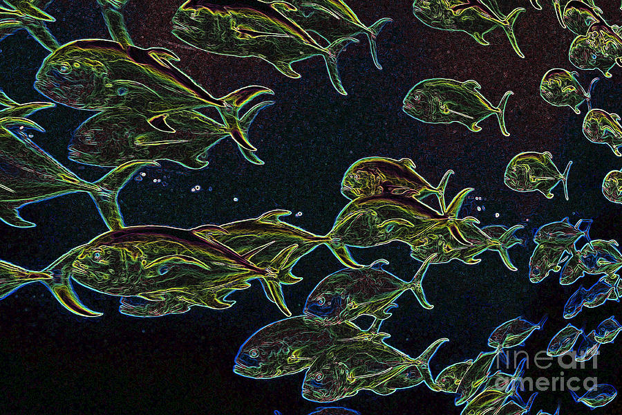 Mad Fish Abstract Digital Art by Carol Groenen