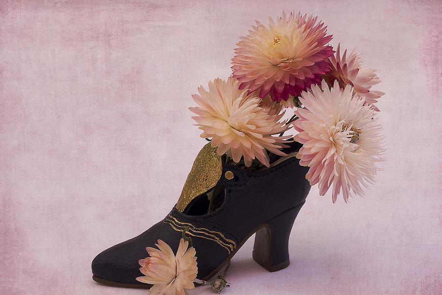 Strawflowers Photograph - Just One Shoe by Sandra Foster