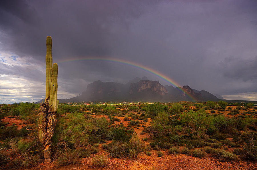 Just Over The Rainbow  Photograph by Saija Lehtonen