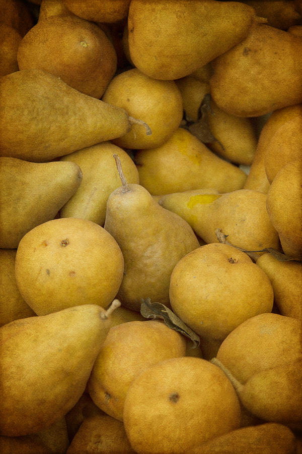 Just Pears Photograph by Rebecca Cozart