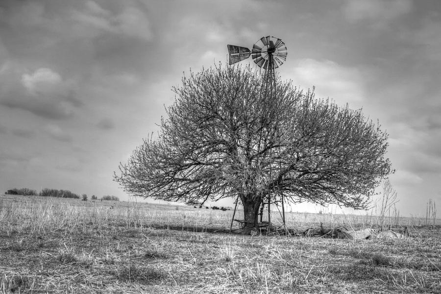 Farm Photograph - Just Plain Kansas by JC Findley