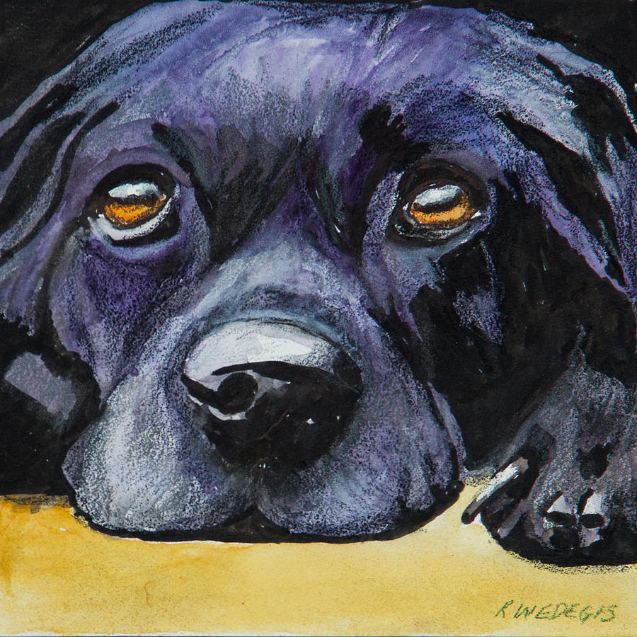 Labrador Retriever Painting - Just Resting by Roger Wedegis