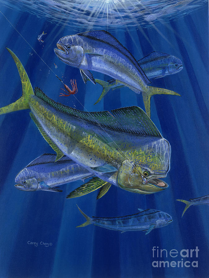 Fish Painting - Just Taken Off0025 by Carey Chen